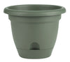 Bloem Lucca 10.8 in. H X 12 in. D Plastic Planter Living Green (Pack of 6)