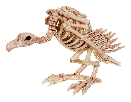 Seasons  Vulture Skeleton  Halloween Decor