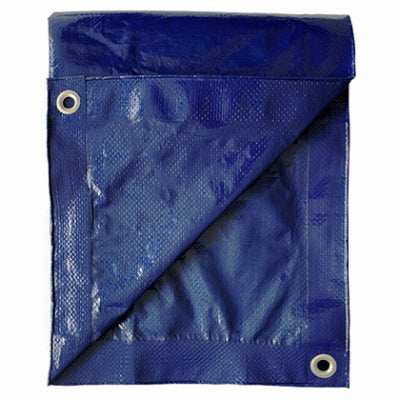 Polyethylene Storage Tarp, Blue, 20 x 30-Ft.