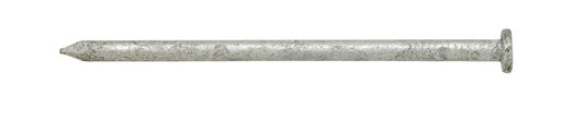 Stallion 20D 4 in. Common Hot-Dipped Galvanized Steel Nail Flat Head 1 lb (Pack of 12).