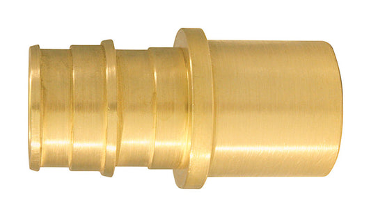 Apollo Expansion PEX / Pex A 3/4 in. Expansion PEX in to X 3/4 in. D Male Brass Male Adapter