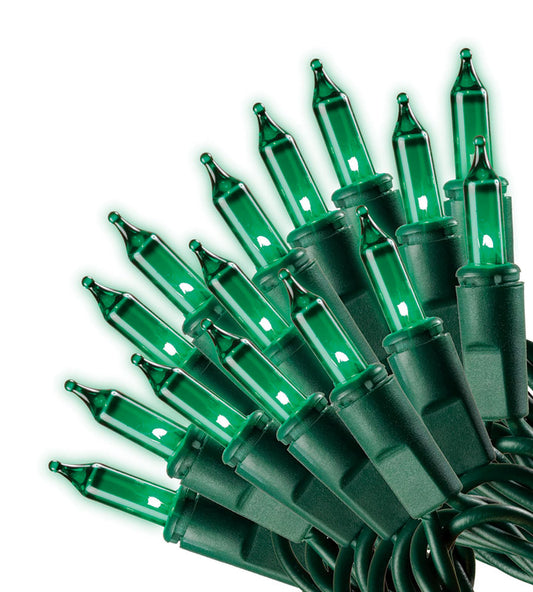 Celebrations  Green  50 count String  Christmas Lights  10 ft.