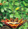 Daisy Bird Feeder Glass