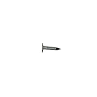 Stallion 2 in.   Roofing Electro-Galvanized Steel Nail Large 5 lb (Pack of 6)