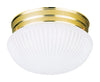 Westinghouse  4-3/4 in. H x 7-1/2 in. W x 8 in. L Ceiling Light