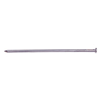 Pro-Fit  10 in. Spike  Bright  Steel  Nail  Flat  50 lb.