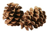 Buffalo Cinnamon Scent Brown Tabletop Mount Non-Electric Pinecones (Pack of 25)