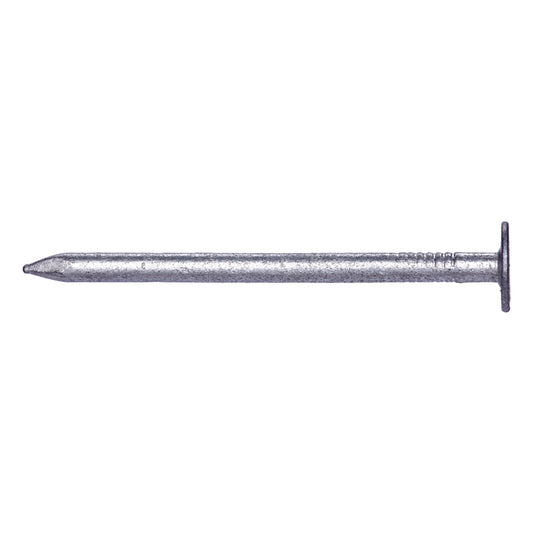 Pro-Fit  2 in. Roofing  Hot-Dipped Galvanized  Steel  Nail  Flat  50 lb.