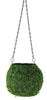 1291-06-070 KOKEDAMA 6"