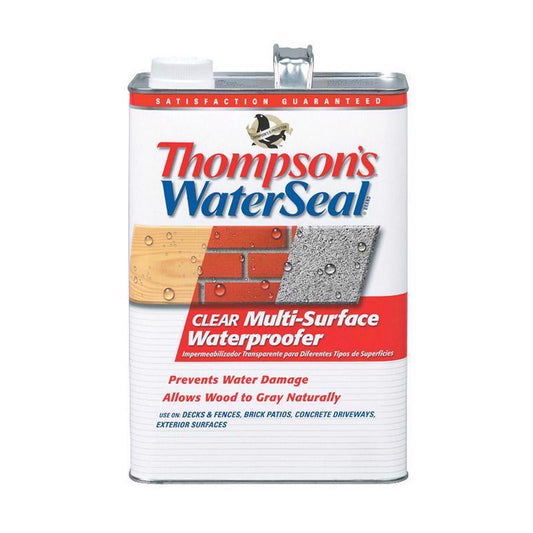 Thompsons Waterseal 24101 1 Gallon Clear Waterseal® Multi-Surface Waterproofer  (Pack Of 4)