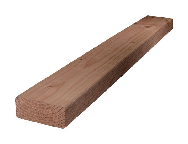 Nsh Premium Stud Dsp