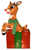 24" Rudolph 3d Prelit Yard Décor Rudolph In Present