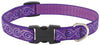 Lupine Pet Original Designs Multicolor Jelly Roll Nylon Dog Adjustable Collar
