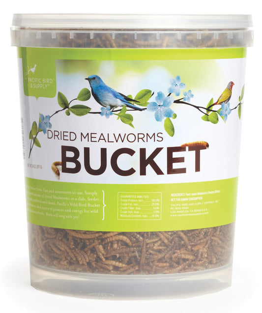 Pacific Bird & Supply Co Inc Pb-0035 14 Oz Dried Mealworm