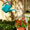 Bloem Promo Green 2 gal Resin Watering Can