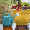 Bloem Llc Jw82-26 2 Gallon Bermuda Teal Classic Watering Can