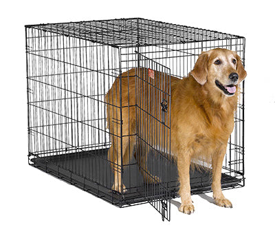 Dog Home Training Crate, 42-In.
