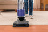Bissell Pet Vacuum 1 Amp