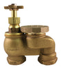 Champion Anti-Siphon Valve 3/4 in. 150 psi