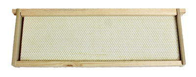 Super Beehive Frame With Foundation, Medium or Honey, Wooden, 5-Pk.