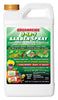 Organocide Bee Safe 3-in-1 Garden Spray Organic Liquid Concentrate Insect, Disease & Mite Control 32