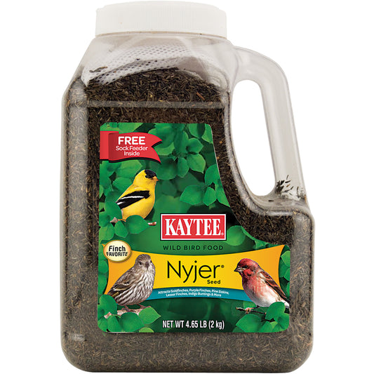 Kaytee Nyjer Songbird Nyjer Seed Wild Bird Food 4.65 lb