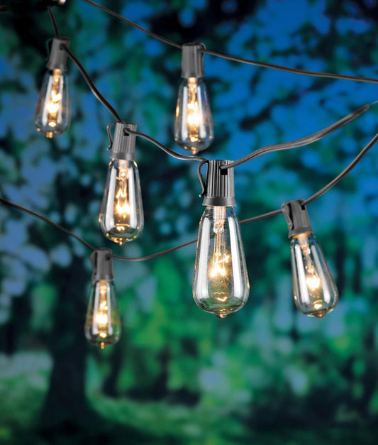 Living Accents Incandescent Edison String Lights Clear 108 in. 10 lights (Pack of 4).