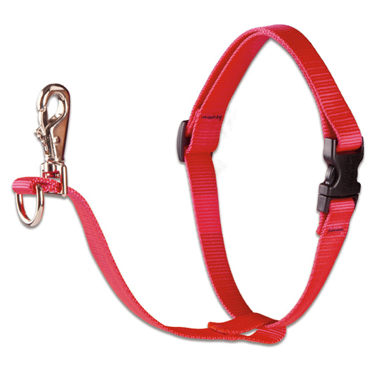 Lupine Pet Red Nylon Dog No Pull Harness