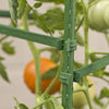 Gardener's Blue Ribbon 60 in. H X 12 in. W Green Steel Tomato Cage