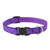 Lupine Pet Original Designs Multicolor Jelly Roll Nylon Dog Adjustable Collar
