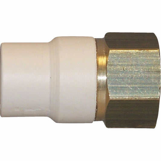 Charlotte Pipe 3/4 in. Slip X 3/4 in. D FIP CPVC Transition Adapter