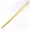 Charlotte Pipe Schedule 40 CPVC Pipe 1/2 in.   D X 2 ft. L Plain End 100 psi