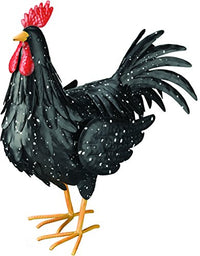 BLACK ROOSTER LARGE