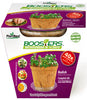PlantBest Microgreen Booster Radish Plant Grow Kit 1 pk