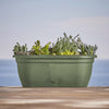 Bloem Lucca 7.5 in. H X 18 in. W X 9.13 in. D Plastic Rolled Rim Window Box Living Green