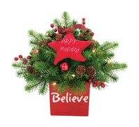 J & J Seasonal Celebrations 1 ft. Warm White Prelit Home For the Holidays Table Tree 10 lights (Pack of 4)
