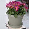 Bloem Llc Tr1083 10.75 Pebble Stone Terra Pot Planter