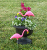 Bloem Mingo Pink Plastic/Resin 5.8 in. H Flamingo Outdoor Decoration (Pack of 12)