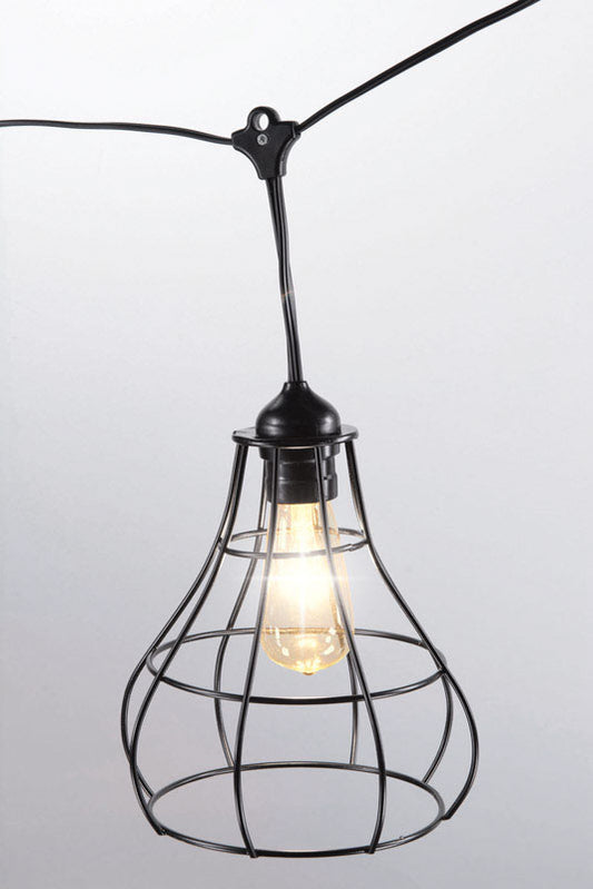 Living Accents  Summer  Edison  Black Wire Cage Pendant  Light Set  Clear  8 ft. 2 lights
