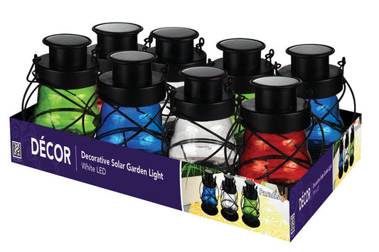 Paradise Assorted Lantern (Pack of 8)