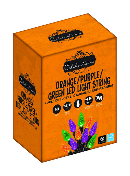 Celebrations Multi-color 50 ct LED String Lights