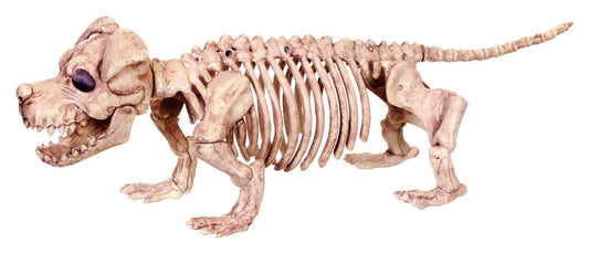 Seasons  Skeleton Puppy Bonez  Halloween Decoration  6-3/4 in. H x 5-1/2 in. W 1 pk