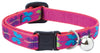 Lupine Pet Original Designs Multicolor Wing It Nylon Cat Collar