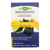 Nature's Way Sambucus Standardized Elderberry Soothing Hot Drink Mix  - 1 Each - 10 CT