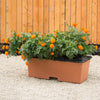 EarthBOX 11 in. H X 13.5 in. W X 29 in. L Garden Kit 1 pk