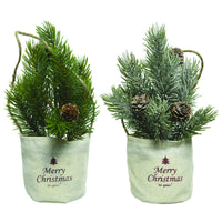 Decoris Assorted Mini Tree in Bag Assortment Table Decor (Pack of 12)