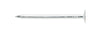 Stallion  1-1/2 in. Roofing  Electro-Galvanized  Steel  Nail  Flat  1 lb. (Pack of 12).