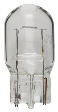 Long Life 12V Miniature Lamp