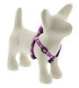 Lupine Pet Original Designs Multicolor Rose Garden Nylon Dog Harness