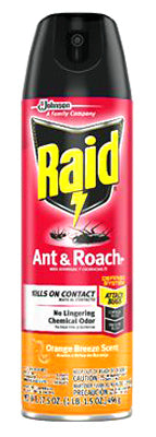 Raid  Orange Scent  Aerosol  Ant and Roach Killer  17.5 oz.